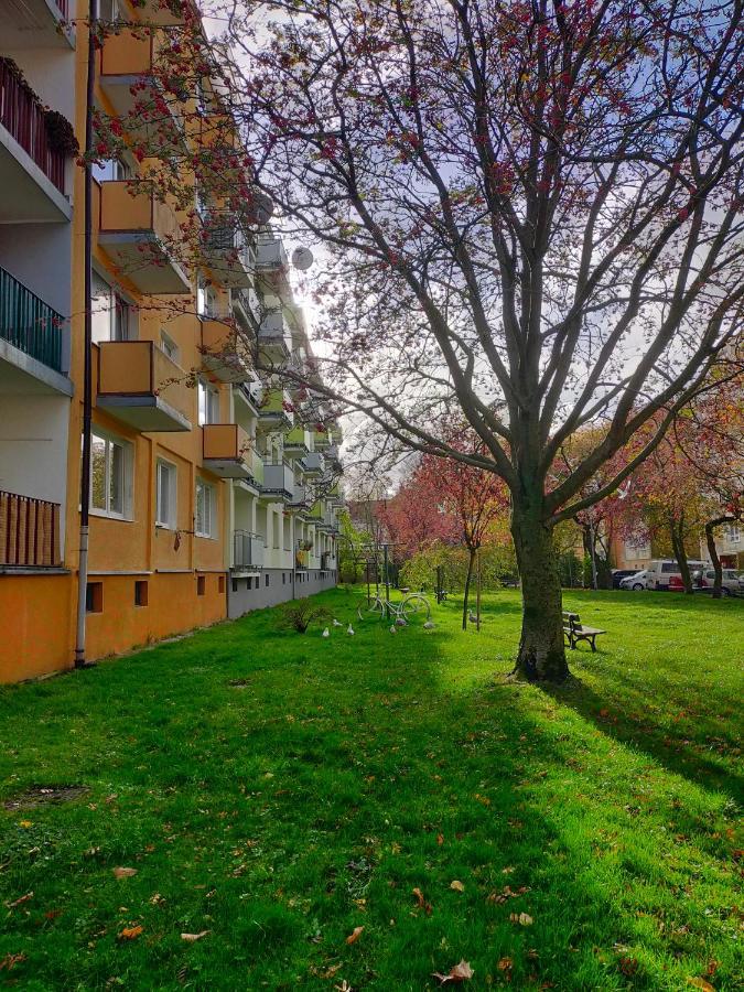 Muszelka Apartament *
